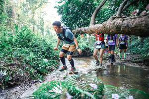 BIB: 
                            <button type="button" onclick="openModal(25464695)" class="btn btn-primary btn-sm float-right btn-popup" data-toggle="modal" data-target=".modal-high-quality">
                        <i class="fas fa-shopping-cart"></i> Add to Cart
                    </button>
                                            <button type="button" onclick="isThisMe(25464695, true)" class="btn btn-success btn-sm float-right btn-popup btn-isme hidden" data-toggle="tooltip" data-placement="bottom" title="นี่คือรูปของคุณใช่ไหม คลิกที่นี่เพื่อเอาเข้าอัลบั้ม">
                        <i class="fas fa-plus"></i> Add to album
                    </button>
                    <button type="button" onclick="isThisMe(25464695, false)" class="btn btn-warning btn-sm float-right btn-popup btn-isnotme hidden">
                        <i class="fas fa-ban"></i> Remove from album
                    </button>